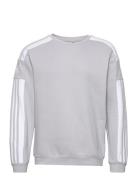 Squadra21 Sweat Top Sport Sweatshirts & Hoodies Sweatshirts Grey Adida...