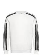 Sq21 Sw Top Sport Sweatshirts & Hoodies Sweatshirts White Adidas Perfo...