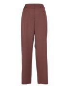 Dena 224 Spice Abel Bottoms Trousers Straight Leg Burgundy FIVEUNITS