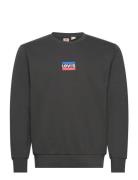 Standard Graphic Crew Mini Spo Tops Sweatshirts & Hoodies Sweatshirts ...