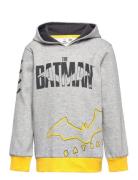 Hoodie Tops Sweatshirts & Hoodies Hoodies Grey Batman