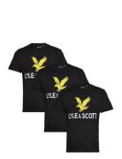 3 Pack Printed T-Shirt Tops T-Kortærmet Skjorte Black Lyle & Scott