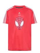 Lb Dy Sm T Sport T-Kortærmet Skjorte  Adidas Sportswear