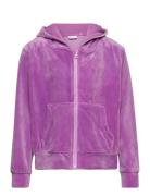 Nkflaral Ls Velour Card Wh Tops Sweatshirts & Hoodies Hoodies Purple N...