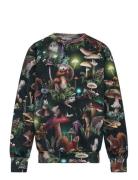 Romeo Tops Sweatshirts & Hoodies Sweatshirts Multi/patterned Molo