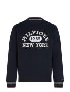 Monotype Collegiate Crewneck Tops Sweatshirts & Hoodies Sweatshirts Na...