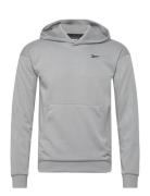 Strength Hoodie 2.0 Sport Sweatshirts & Hoodies Hoodies Grey Reebok Cl...
