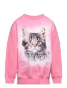 Monti Tops Sweatshirts & Hoodies Sweatshirts Pink Molo