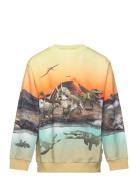 Miksi Tops Sweatshirts & Hoodies Sweatshirts Multi/patterned Molo
