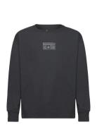 Helier Jersey Ls Tops Sweatshirts & Hoodies Sweatshirts Black Converse