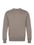 Lightweight Cotton Sweatshirt Tops Sweatshirts & Hoodies Sweatshirts B...