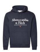 Anf Mens Sweatshirts Tops Sweatshirts & Hoodies Hoodies Navy Abercromb...