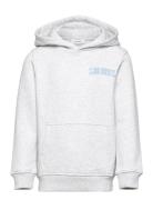 Blake Hoodie Kids 2.0 Tops Sweatshirts & Hoodies Hoodies Grey Les Deux