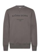 Borg Logo Crew Sport Sweatshirts & Hoodies Sweatshirts Grey Björn Borg