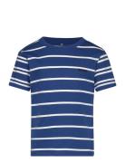 Kobdon S/S Tee Box Jrs Tops T-Kortærmet Skjorte Blue Kids Only