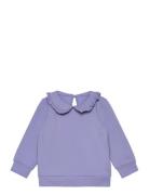 Nmftami Sweat Bru Box Tops Sweatshirts & Hoodies Sweatshirts Purple Na...