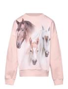 Maxi Tops Sweatshirts & Hoodies Sweatshirts Pink Molo