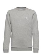 Crew Sport Sweatshirts & Hoodies Sweatshirts Grey Adidas Originals