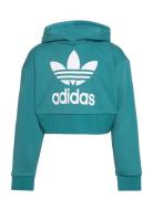 Cropped Hoodie Sport Sweatshirts & Hoodies Hoodies Blue Adidas Origina...