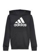 Lk Bl Ft Hd Sport Sweatshirts & Hoodies Hoodies Black Adidas Performan...