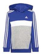J 3S Tib Fl Hd Sport Sweatshirts & Hoodies Hoodies Blue Adidas Sportsw...