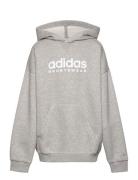 Fleece Hoodie Kids Sport Sweatshirts & Hoodies Hoodies Grey Adidas Spo...