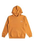 Arch Po Sport Sweatshirts & Hoodies Hoodies Yellow Billabong