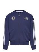 Lk Dy 100 Tt Sport Sweatshirts & Hoodies Sweatshirts Navy Adidas Perfo...