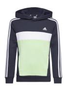 J 3S Tib Fl Hd Sport Sweatshirts & Hoodies Hoodies Multi/patterned Adi...