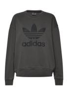 Washd Trf Swtst Sport Sweatshirts & Hoodies Sweatshirts Black Adidas O...