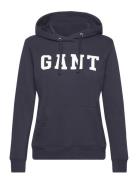 Reg Graphic Hoodie Tops Sweatshirts & Hoodies Hoodies Blue GANT