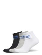 Sock Ankle Lingerie Socks Footies-ankle Socks Multi/patterned Reebok P...