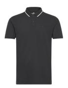 Hco. Guys Knits Tops Knitwear Short Sleeve Knitted Polos Black Hollist...
