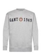 Crest C-Neck Tops Sweatshirts & Hoodies Sweatshirts Grey GANT