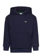 Sweatshirts Sport Sweatshirts & Hoodies Hoodies Navy Lacoste