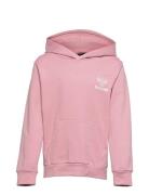 Hmlproud Hoodie Sport Sweatshirts & Hoodies Hoodies Pink Hummel