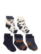 Socks W. Pattern  Sokker Strømper Multi/patterned Minymo