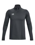 Ua M's Ch. Midlayer Sport Sweatshirts & Hoodies Sweatshirts Grey Under...