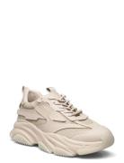 Possess Low-top Sneakers Beige Steve Madden
