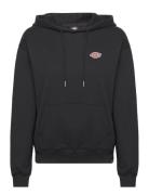 Millersburg Hoodie Tops Sweatshirts & Hoodies Hoodies Black Dickies