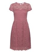 Vikalila Capsleeve Lace Dress - Noos Knælang Kjole Pink Vila