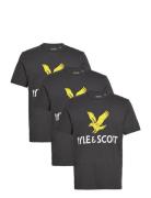 3 Pack Printed T-Shirt Tops T-Kortærmet Skjorte Black Lyle & Scott