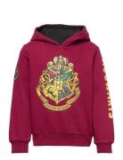 Sweat Tops Sweatshirts & Hoodies Hoodies Red Harry Potter