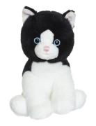 Kittens, Black Toys Soft Toys Stuffed Animals Black Teddykompaniet