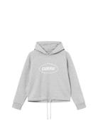 Cropped Merch Hoodie Sport Sweatshirts & Hoodies Hoodies Grey Cuera