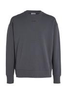 Nano Logo Sweatshirt Tops Sweatshirts & Hoodies Sweatshirts Grey Calvi...