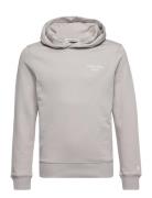 Ckj Stack Logo Hoodie Tops Sweatshirts & Hoodies Hoodies Grey Calvin K...