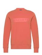 Essential Sp Crew Tops Sweatshirts & Hoodies Sweatshirts Orange Hacket...