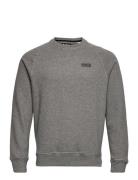 B.intl Essential Crew Designers Sweatshirts & Hoodies Sweatshirts Grey...