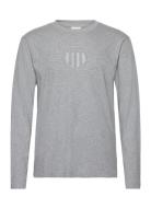 Reg Tonal Shield Ls T-Shirt Tops T-Langærmet Skjorte Grey GANT